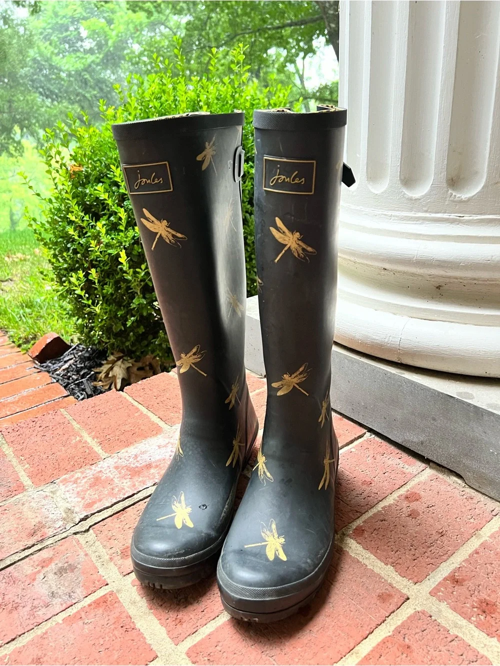 Joules Women’s Welly Black Rain boots with Gold Dragonflies size 9